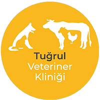 Tuğrul Veteriner Kliniği